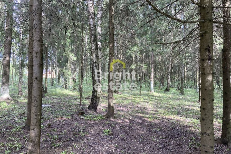 Купить участок рядом с лесом в КП Лесные зори. Лот №21663 Купить участок рядом с лесом в КП Лесные зори. ID 21663