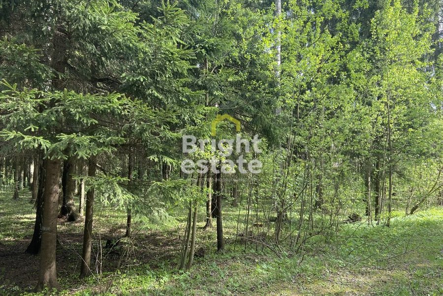 Купить участок рядом с лесом в КП Лесные зори. Лот №21663 Купить участок рядом с лесом в КП Лесные зори. ID 21663