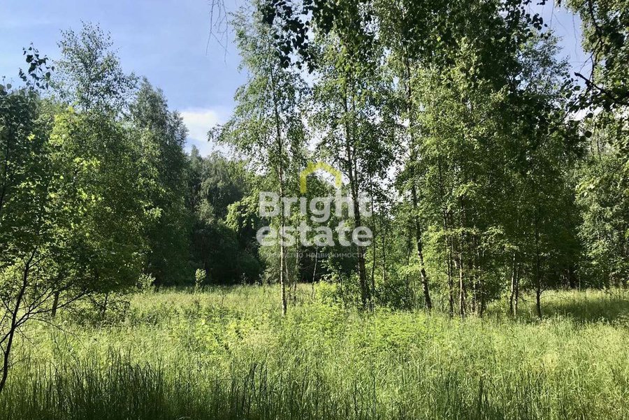 Купить участок 180 соток в КП Раздоы. ID 21857