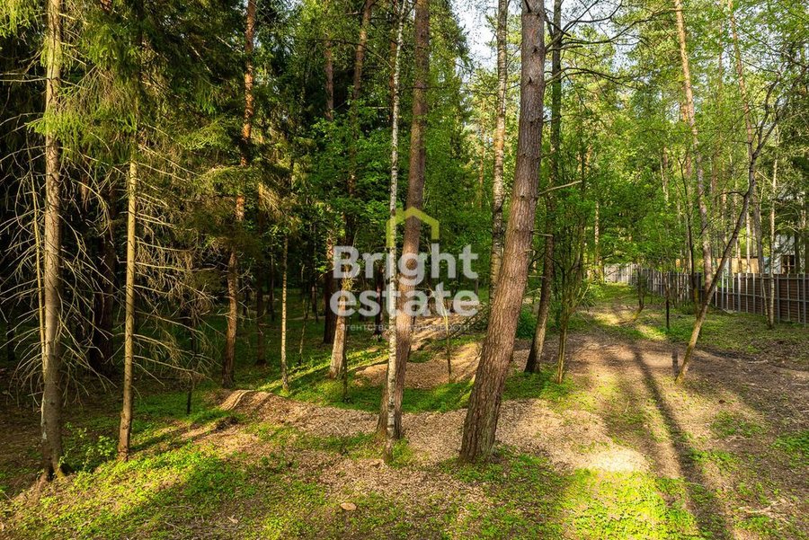 Купить участок 50 соток в КП LES Маслово. ID 22044