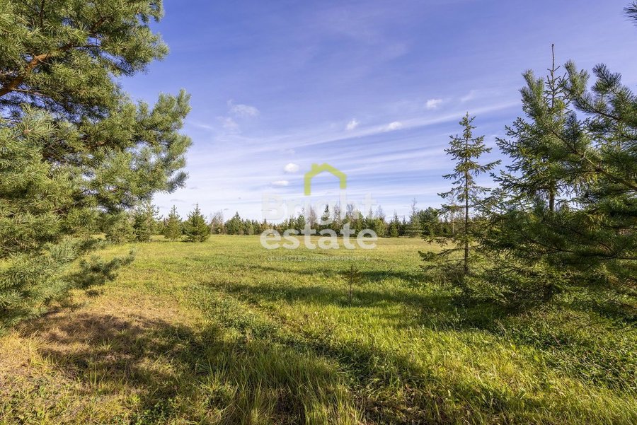 Купить участок 130 соток в загородном поселке Агаларов Эстейт. ID 22060