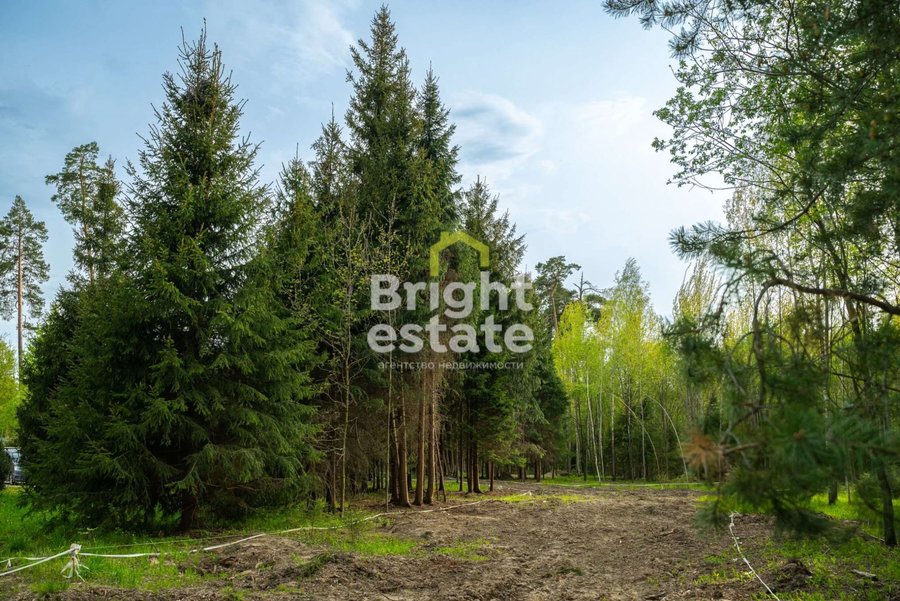 Купить лесной участок в камерном поселке LES Иславское. ID 22199