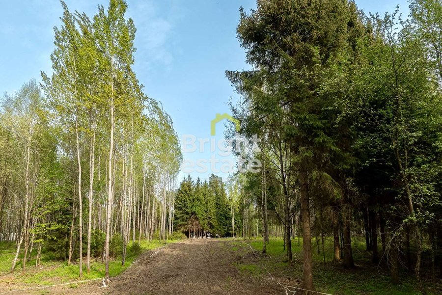 Купить участок 22 сотки в камерном поселке LES Иславское. ID 22200