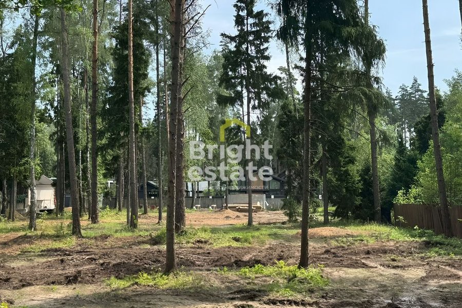 Купить лесной участок 51 сотка в КП Лесные зори. Лот №22574 Купить лесной участок 51 сотка в КП Лесные зори. ID 22574