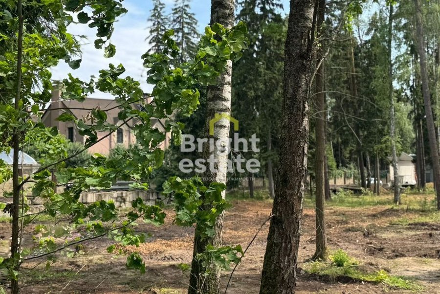 Купить лесной участок 51 сотка в КП Лесные зори. Лот №22574 Купить лесной участок 51 сотка в КП Лесные зори. ID 22574