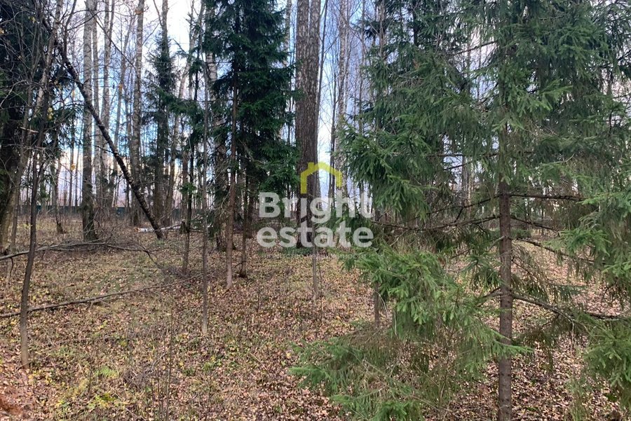 Купить участок в КП Лесные зори - лесные 9 соток для строительства дома. ID 22608