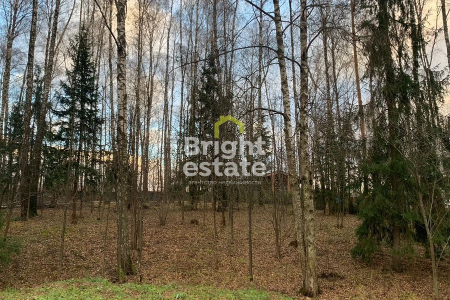 КП Лесные зори - участок 20 с лесными деревьями. ID 22609
