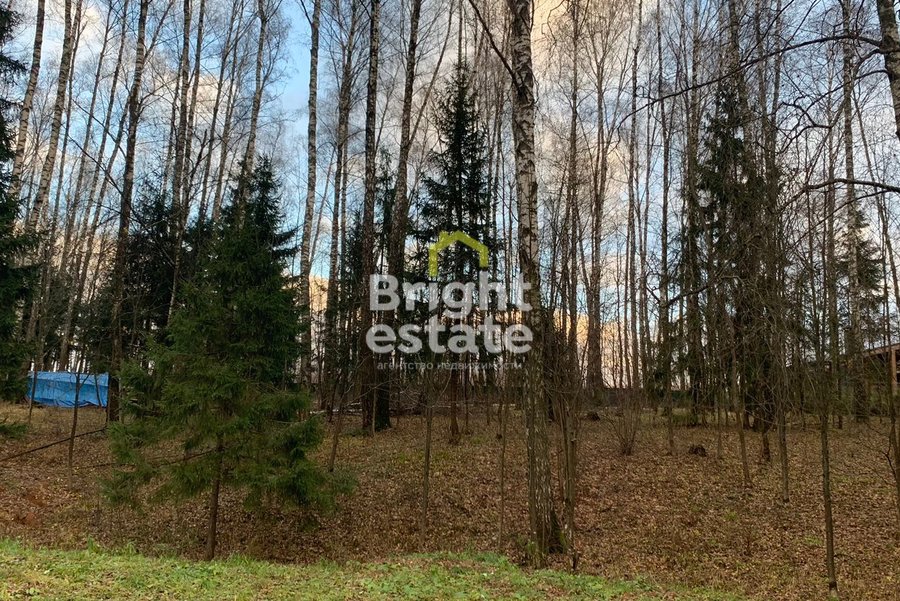 КП Лесные зори, Новорижское шоссе. Продажа лесного участка 40 соток. Лот №22610 КП Лесные зори, Новорижское шоссе. Продажа лесного участка 40 соток. ID 22610