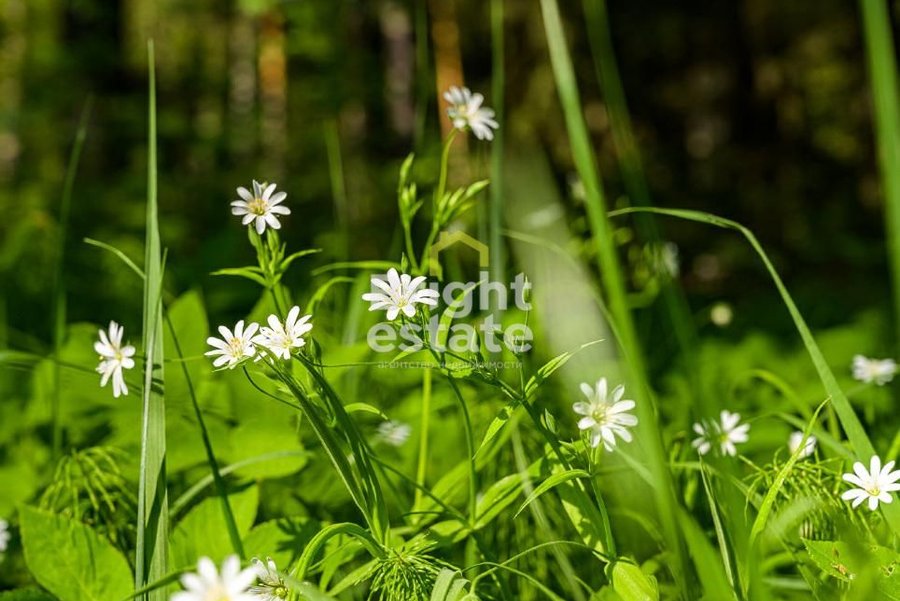 КП Малое Сареево - купить участок в поселке на Рублевке. ID 22672