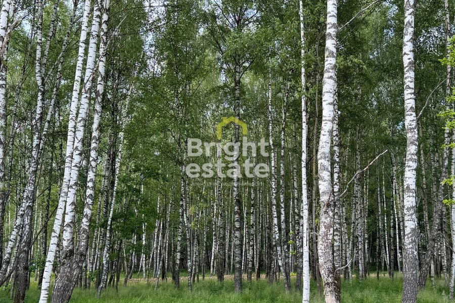 Продажа участка в коттеджном поселке Crystal Forest. ID 22758