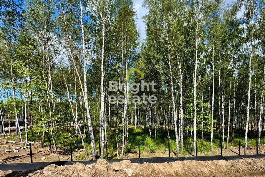 Купить лесной участок в коттеджном поселке Crystal Forest. ID 22761