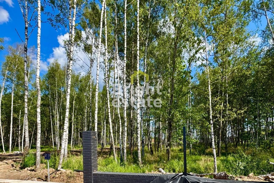 Купить участок с лесными деревьями в коттеджном поселке Crystal Forest. ID 22762