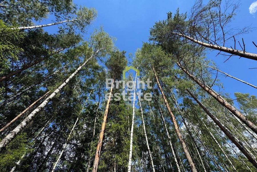 Купить участок в коттеджном поселке Crystal Forest. ID 22764