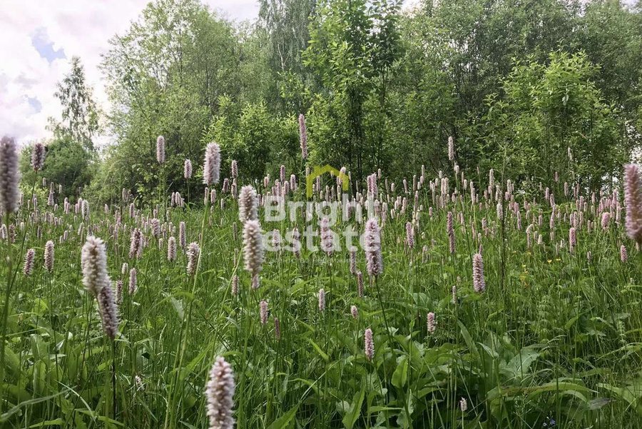 Купить участок 11 соток в КП Усово Плюс. ID 22903