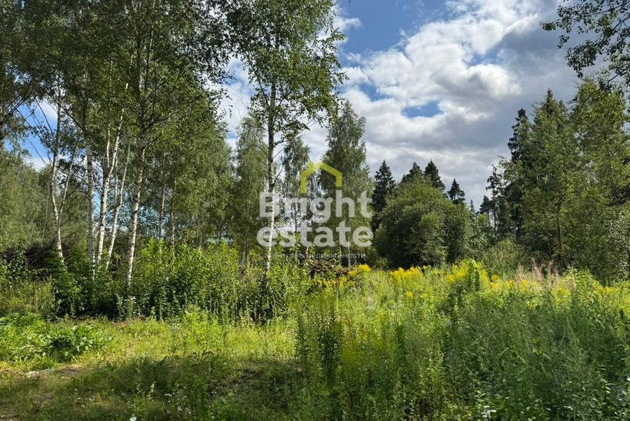 Продажа участка в поселке Бузланово на Новорижском шоссе. ID 23061