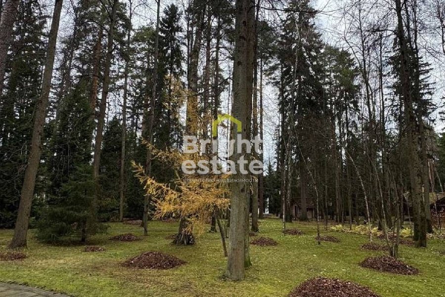 Купить лесной участок 139 соток в КП Ландшафт. Лот №23075 Купить лесной участок 139 соток в КП Ландшафт. ID 23075