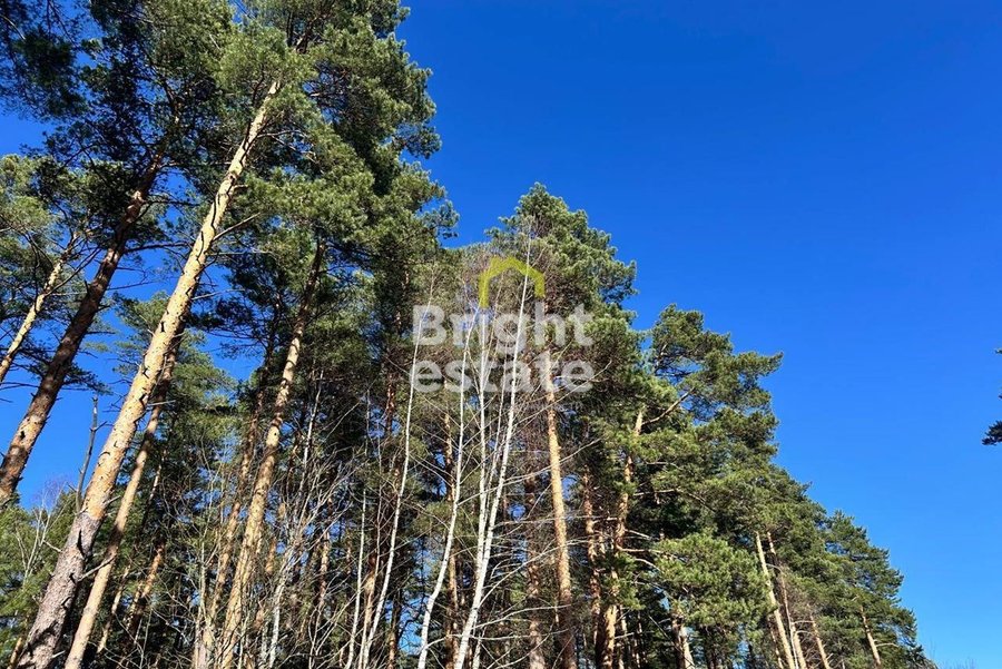 Купить участок 82 сотки в КП Сосновый бор. ID 23298