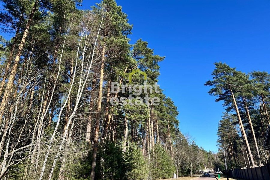 Купить участок 82 сотки в КП Сосновый бор. ID 23298