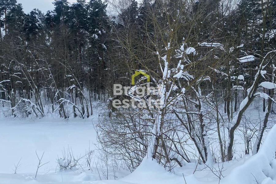 Купить участок 85 соток в КП Сосновый бор. Лот №23386 Купить участок 85 соток в КП Сосновый бор. ID 23386