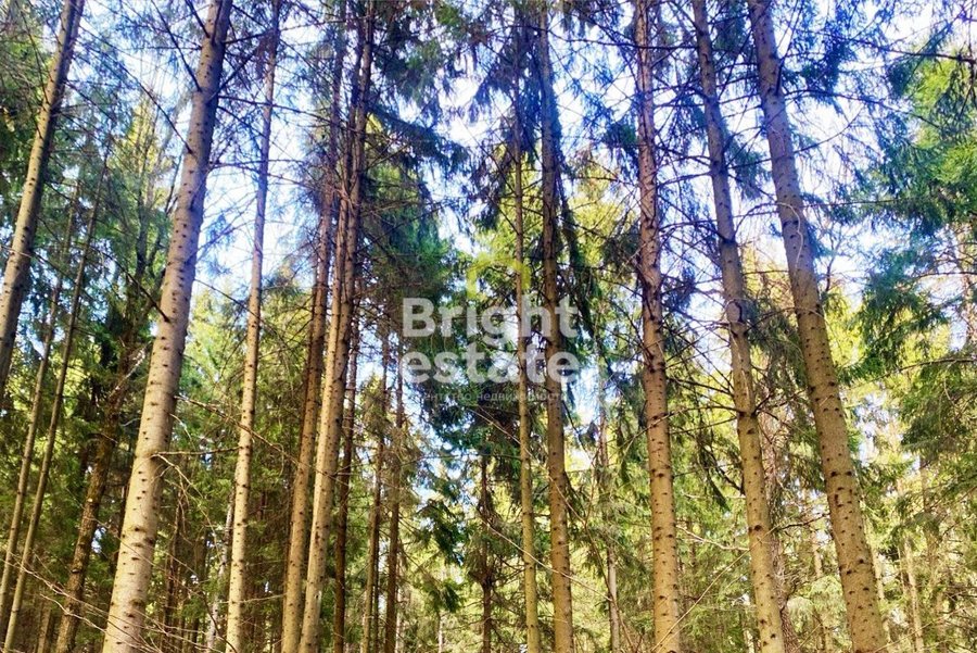 Купить участок в КП Николино на Рублево-Успенском шоссе. ID 23508