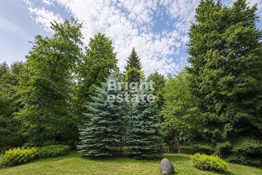 Лесной участок в КП Загорье. ID 23983