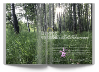 Скачать презентацию объекта ID19379