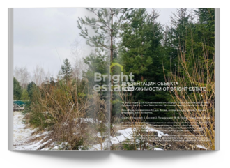 Скачать презентацию объекта ID21475