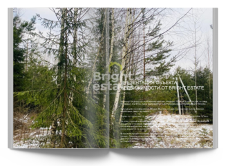 Скачать презентацию объекта ID21494